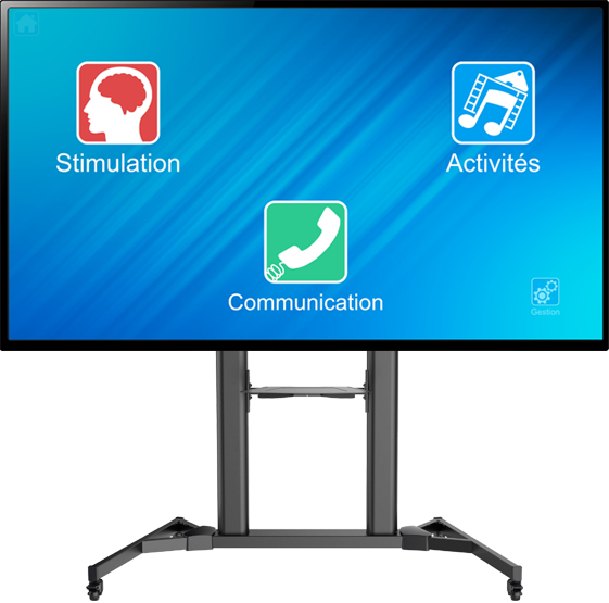 Outils de stimulation cognitive ErgomindPro vue de face